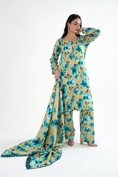 Neel Gul Khaddar Suit